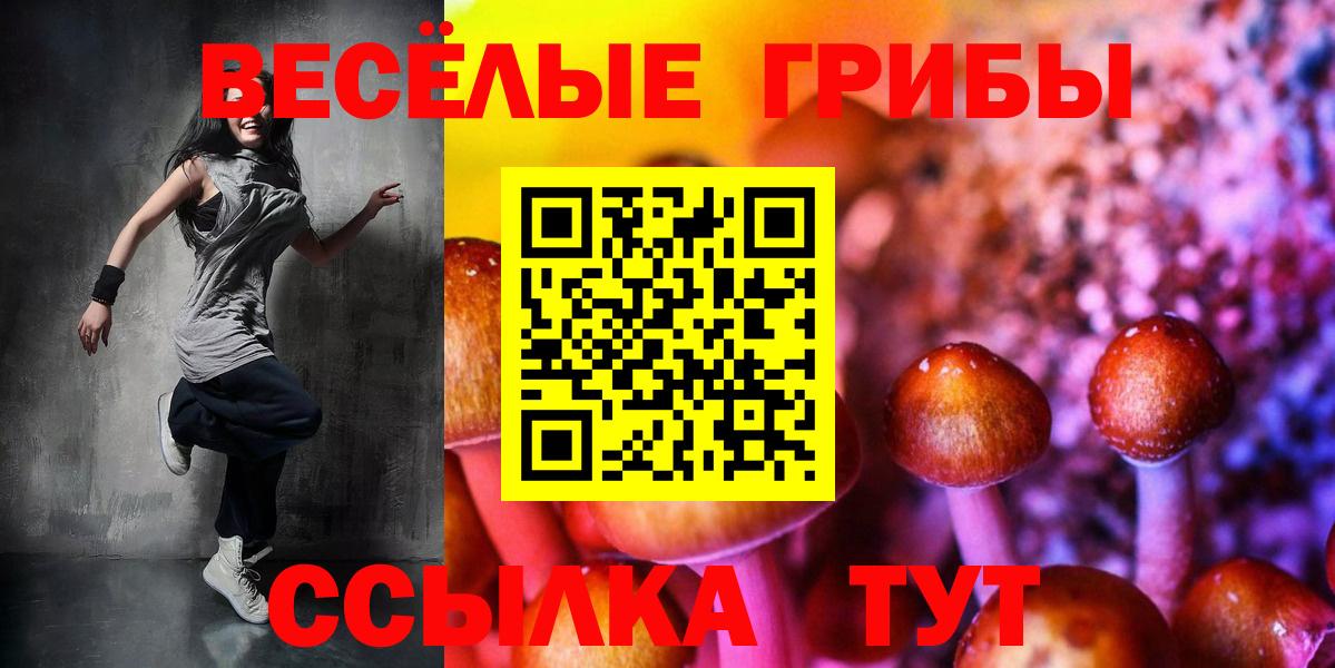 Галлюциногенные грибы мицелий Грозный